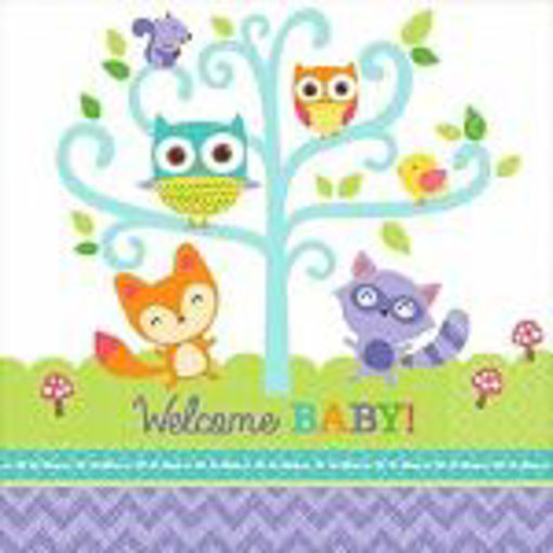 Picture of WOODLAND BABY NAPKINS - 16PK